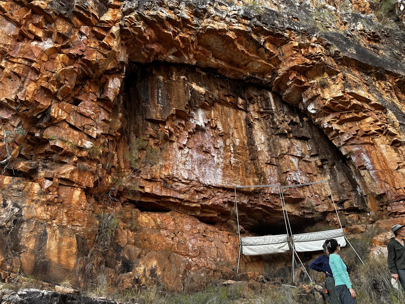 Two white harp traps set up at the foot of a tall orange rock face by a cave, with survey team members nearby.