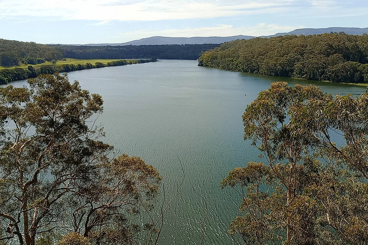 Wide river bordered by eucalyptus forest and green paddocks, seen from a clifftop lookout near Nowra.