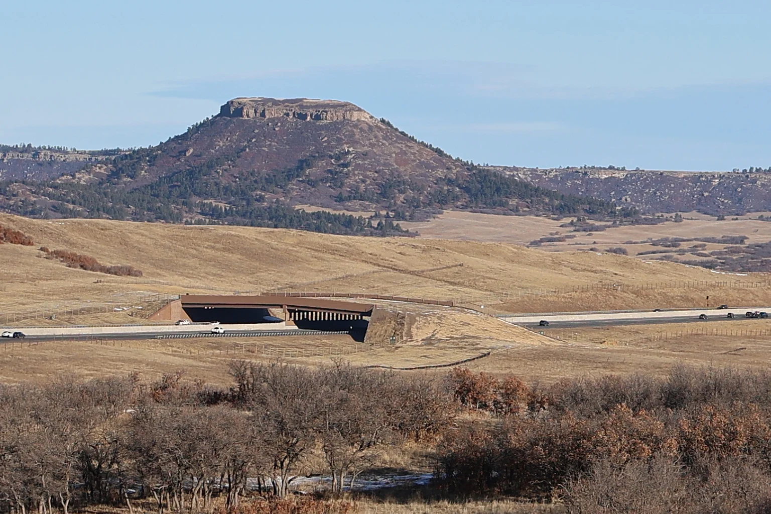 The Greenland Wildlife Overpass, a wide, grass-topped bridge for animals, spanning Interstate 25 with a flat-topped butte behind it