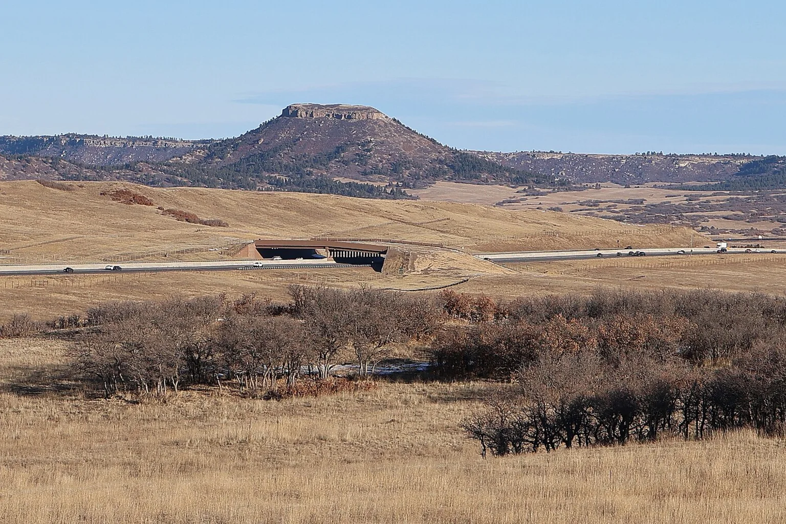 Wildlife overpass crossing Interstate 25 in golden grassland with a flat-topped butte behind it, near Greenland, Colorado.
