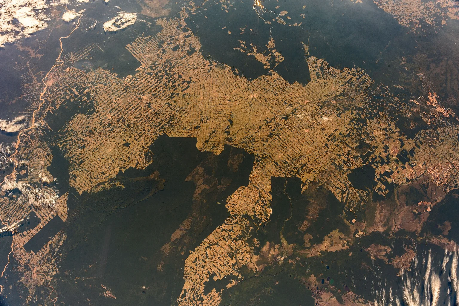 Photo taken from space of a large area of Amazon forest cut into a pattern of cleared patches, surrounded by darker intact forest.