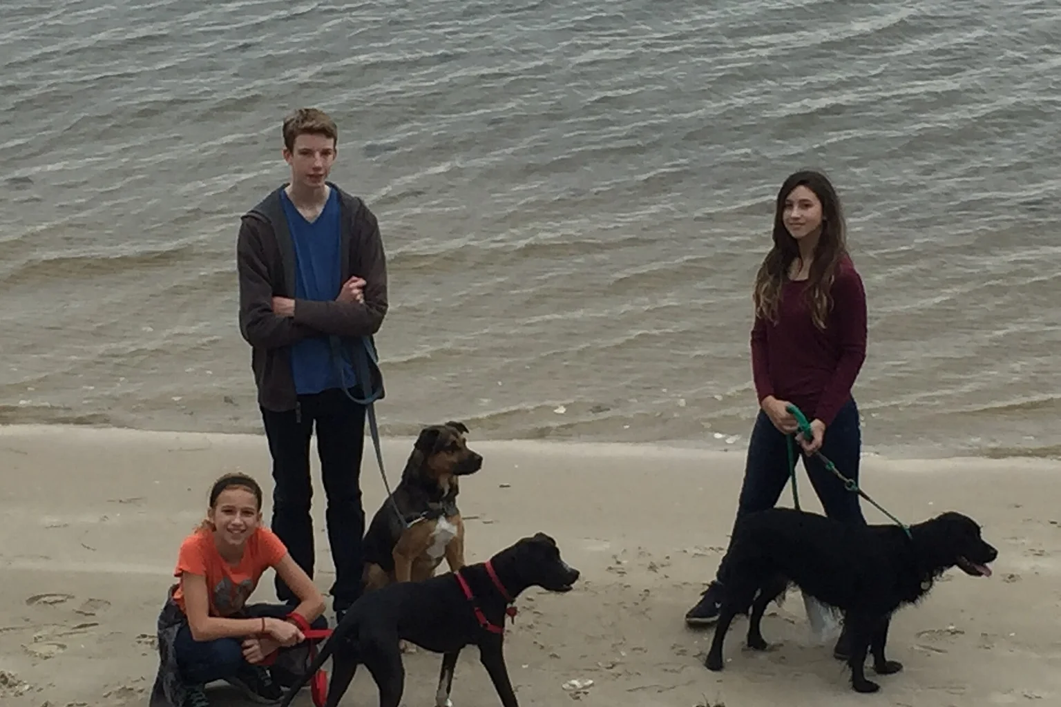 Three young teenagers stand on a beach holding leashes with their three dogs beside the water.