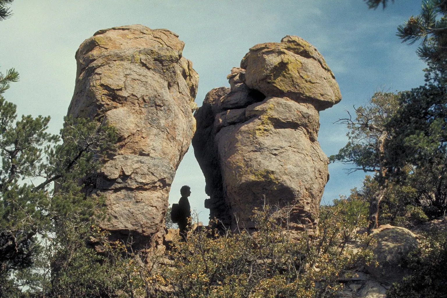 A hiker silhouetted beside two enormous rock pinnacles among pine trees.