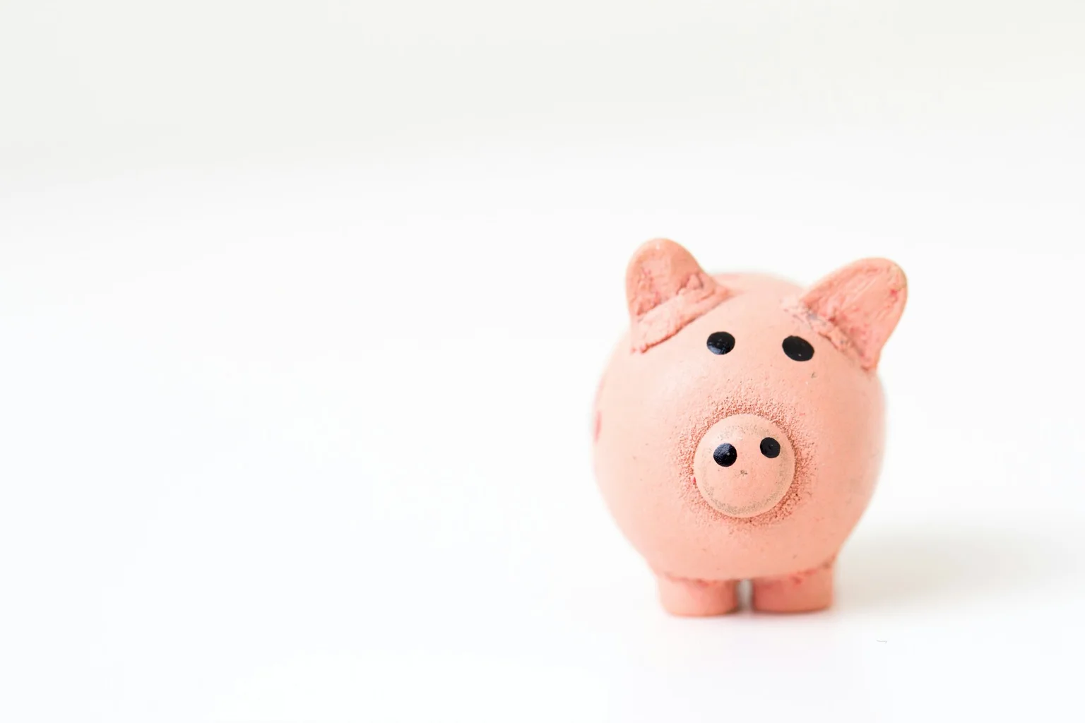 Small pink pig figurine facing the camera against a white background