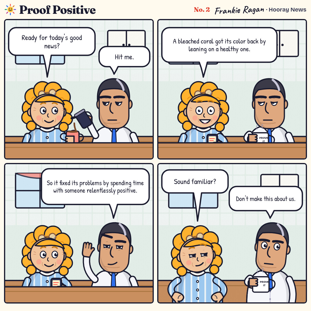 Four-panel comic at the kitchen table. Ansel pours Goldie’s coffee while she reads that a bleached coral recovered by leaning on a healthy one. Ansel notes it fixed its problems by spending time with someone relentlessly positive. Goldie asks "Sound familiar?" and Ansel says "Don’t make this about us."