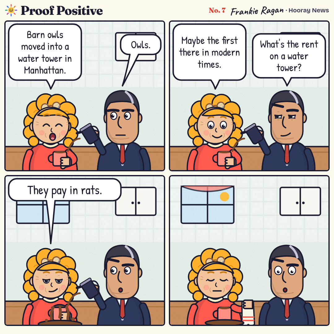 Four-panel comic at the kitchen table. Goldie reads that barn owls moved into a Manhattan water tower while Ansel pours her coffee, so absorbed that the mug overflows. He asks about the rent; she says they pay in rats, then hands him a towel without looking up.
